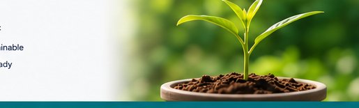 A seedling representing sustainable growth
